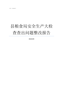 县粮食局安全生产大检查查出问题整改报告县粮食局局长