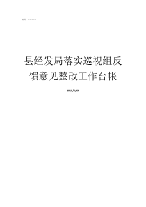 县经发局落实巡视组反馈意见整改工作台帐巡视组巡视落实情况