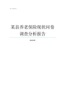 某县养老保险现状问卷调查分析报告