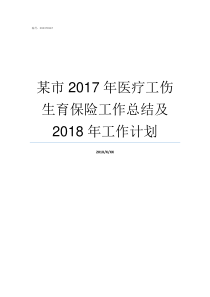 某市2017年医疗工伤生育保险工作总结及2018年工作计划合作医疗报销范围2017