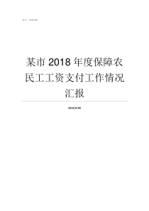 某市2018年度保障农民工工资支付工作情况汇报20172018