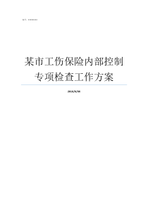 某市工伤保险内部控制专项检查工作方案COSO内部控制