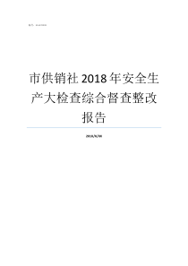 市供销社2018年安全生产大检查综合督查整改报告