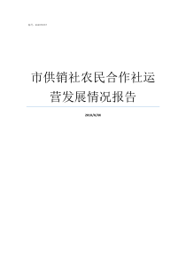 市供销社农民合作社运营发展情况报告