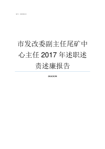 市发改委副主任尾矿中心主任2017年述职述责述廉报告