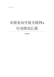 市商务局开展互联网行动情况汇报