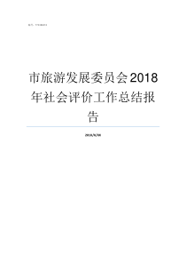 市旅游发展委员会2018年社会评价工作总结报告