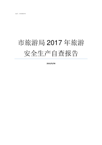 市旅游局2017年旅游安全生产自查报告