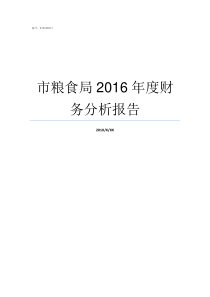 市粮食局2016年度财务分析报告