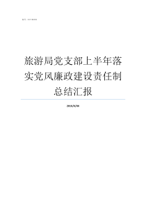 旅游局党支部上半年落实党风廉政建设责任制总结汇报党支部上半年工作情况