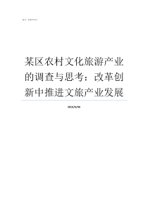 某区农村文化旅游产业的调查与思考改革创新中推进文旅产业发展文化旅游产业项目