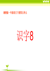 小学语文一年级下册《识字8》教学课件(湘教版)