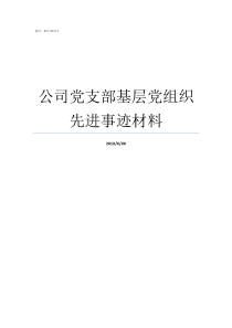 公司党支部基层党组织先进事迹材料