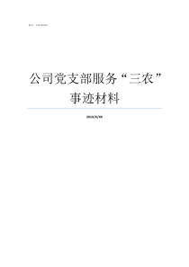 公司党支部服务三农事迹材料党支部服务党员