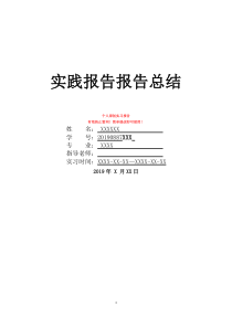 实践报告报告总结暑假实践个人总结实践总结