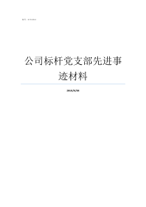 公司标杆党支部先进事迹材料标杆党支部先进事迹