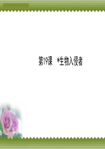 2013版人教版八年级上册教师配套课件 第四单元 第19课