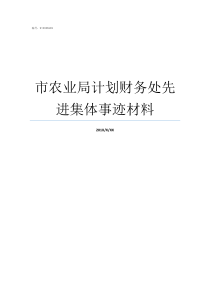 市农业局计划财务处先进集体事迹材料