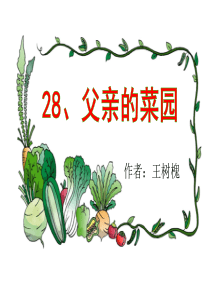 28.父亲的菜园r