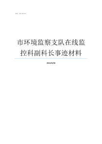 市环境监察支队在线监控科副科长事迹材料