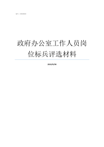 政府办公室工作人员岗位标兵评选材料政府购买岗