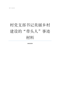 村党支部书记美丽乡村建设的带头人事迹材料村党支部书记抓乡村振兴