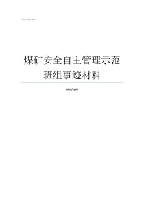 煤矿安全自主管理示范班组事迹材料