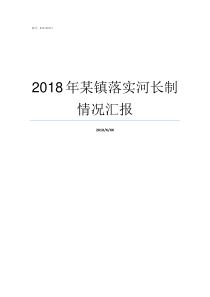 2018年某镇落实河长制情况汇报