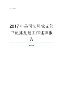 2017年县司法局党支部书记抓党建工作述职报告