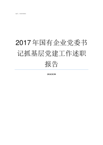 2017年国有企业党委书记抓基层党建工作述职报告2017年国企