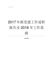 2017年抓党建工作述职报告及2018年工作思路2018年党建工作