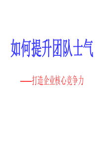 如何提升团队士气_打造核心竞争力（PPT32页)