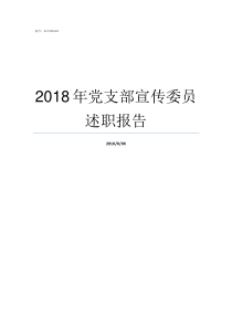 2018年党支部宣传委员述职报告