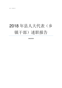 2018年县人大代表乡镇干部述职报告