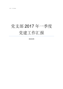 党支部2017年一季度党建工作汇报