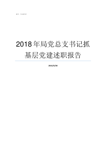 2018年局党总支书记抓基层党建述职报告村党总支书上党课讲稿