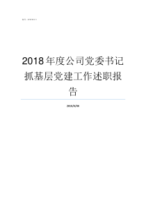 2018年度公司党委书记抓基层党建工作述职报告2018年度党委班子问题整改