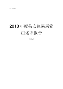 2018年度县安监局局党组述职报告安监局制服2018