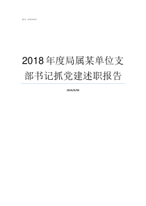 2018年度局属某单位支部书记抓党建述职报告