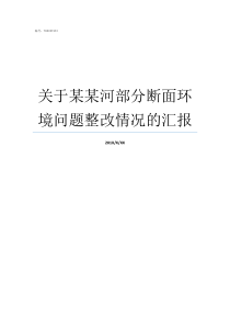 关于某某河部分断面环境问题整改情况的汇报河长制湖长制断面长制