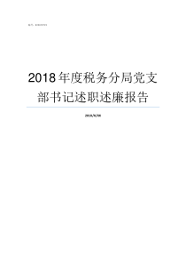 2018年度税务分局党支部书记述职述廉报告2018一般纳税人的标准