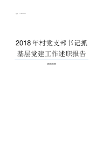 2018年村党支部书记抓基层党建工作述职报告