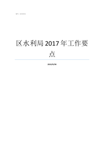 区水利局2017年工作要点