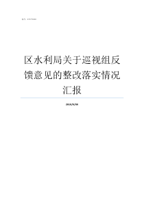 区水利局关于巡视组反馈意见的整改落实情况汇报十五巡视组反