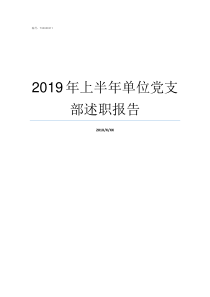 2019年上半年单位党支部述职报告2019年上半年全国