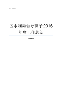 区水利局领导班子2016年度工作总结