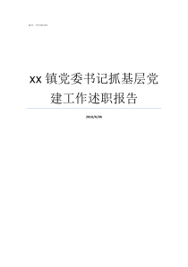 xx镇党委书记抓基层党建工作述职报告乡镇党委书记抓基层述党建