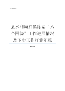 县水利局扫黑除恶六个围绕工作进展情况及下步工作打算汇报扫黑除恶水利