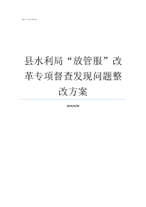 县水利局放管服改革专项督查发现问题整改方案谁管水利局