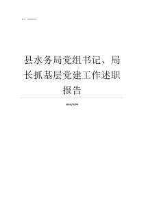 县水务局党组书记局长抓基层党建工作述职报告电白区水务局局党组书记